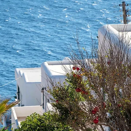 Pahivouni Studios&suites Donoussa